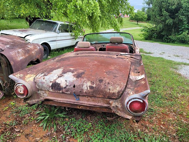 1957 Thunderbird derelict I stumbled upon
