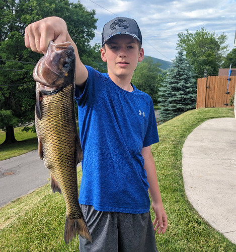 Photo of boy holding a fish