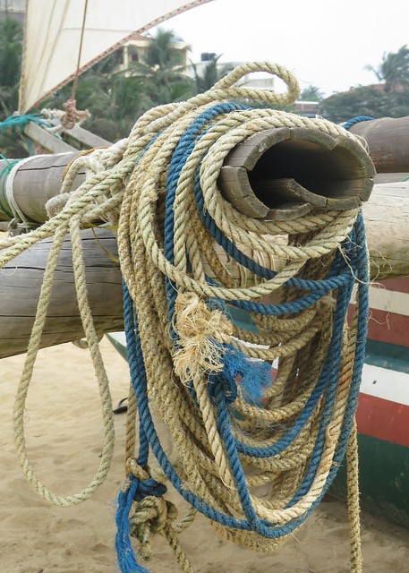 Fishing Ropes (IMG_2894b)