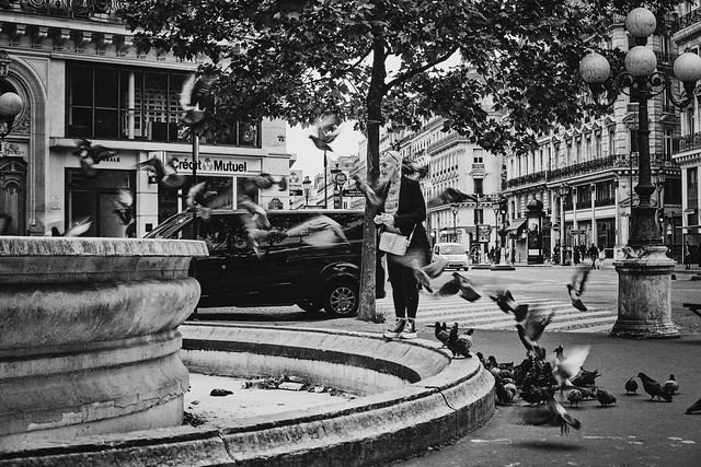 Streets of Paris # 8