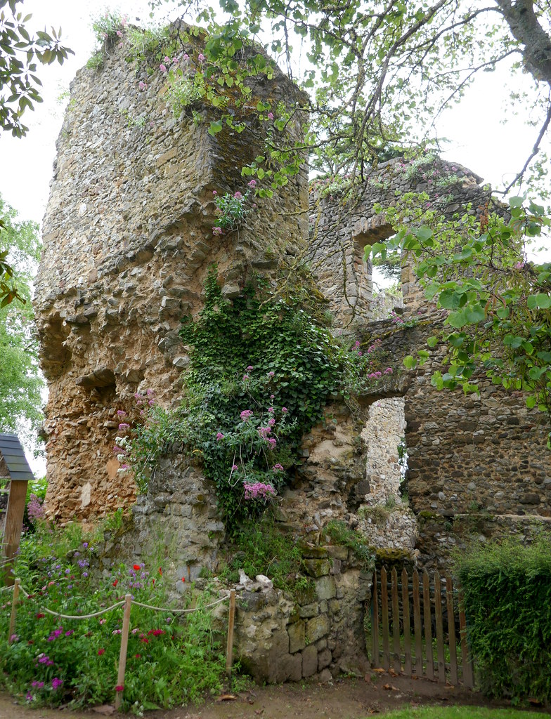 Ruines du donjon, château (IXe-XIVe-XVe siècles) de Fresnay-sur-Sarthe, Sarthe, Pays de la Loire, France.