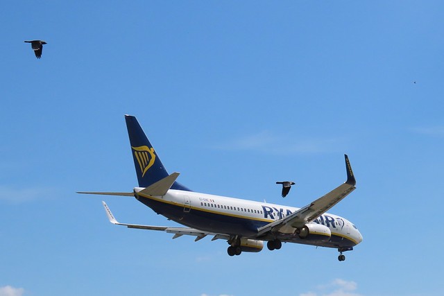 Ryanair 9360, Boeing 737-8AS (EI-ENE) Perpignan To LBA, Approaching LeedsBradfordAirport 25/5/23