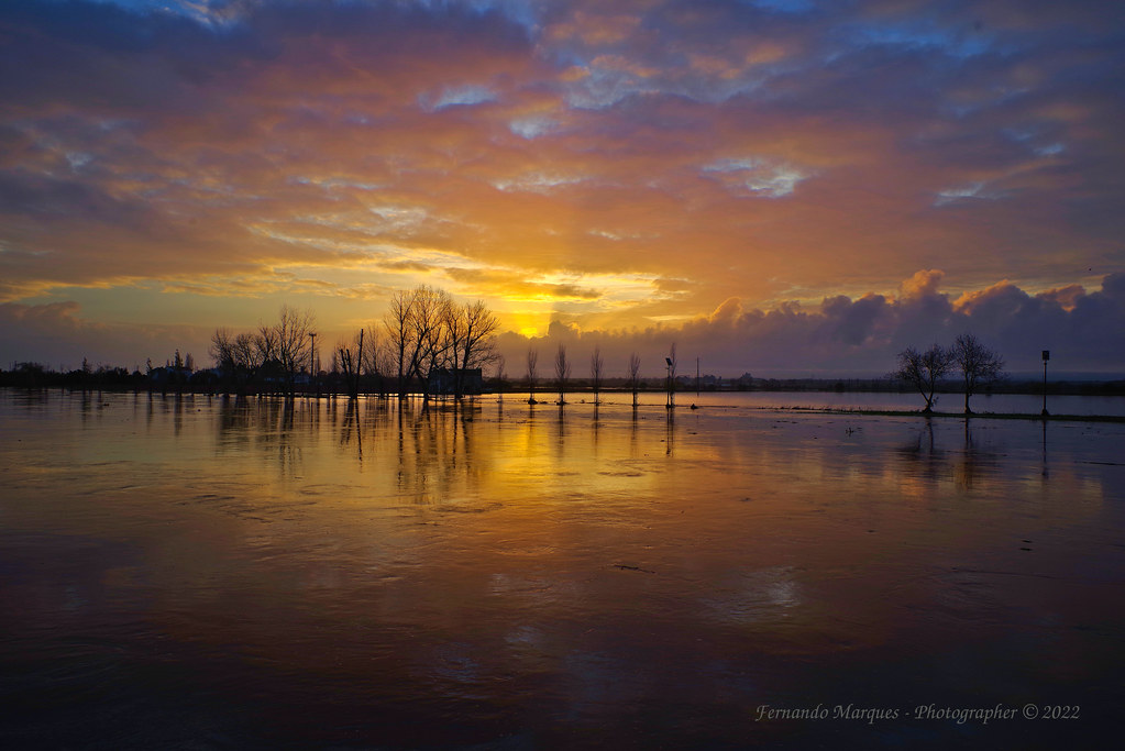Floods at sunrise...