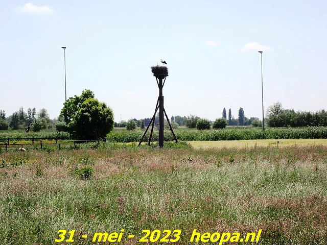 2023-05-31  Kampen-Zwolle (45)