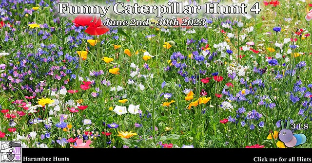 It's Time For The Funny Caterpillar Hunt 4!