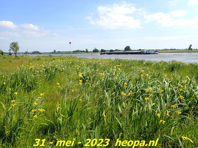 2023-05-31  Kampen-Zwolle (81)