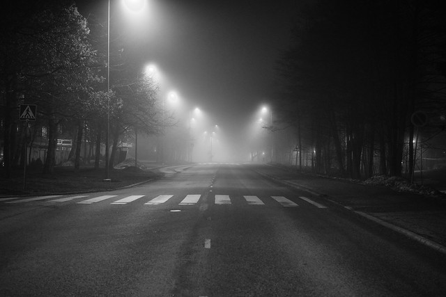 Misty Road!