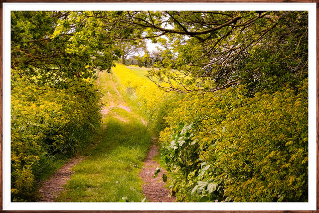 Suffolk Path...