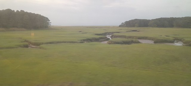 The Unspoiled Marshes of Cape Cod Bay....