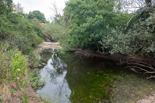Waterhole, River Mole, Norbury Park, July 2022