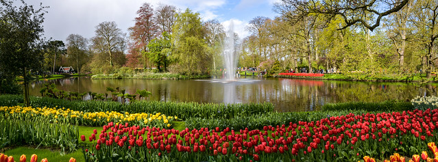 Le grand étang de Keukenhof au Pays-Bas! /The large pond of the Keukenhof garden in the Netherlands!