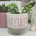 I made a thing - my succulents are so fucculent. :seedling:    #plantsayings #DIY #artsandcrafts #crafts #crafty #Cricut #CricutJoy #Joy #succulent #fucculent #witty #funny #snarky