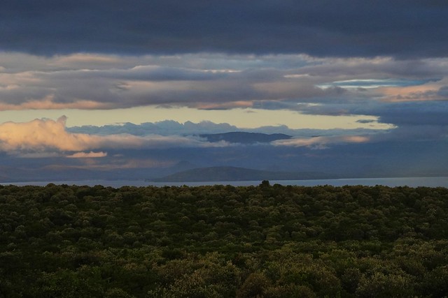 Dawn over Lake Naivasha, Kenya