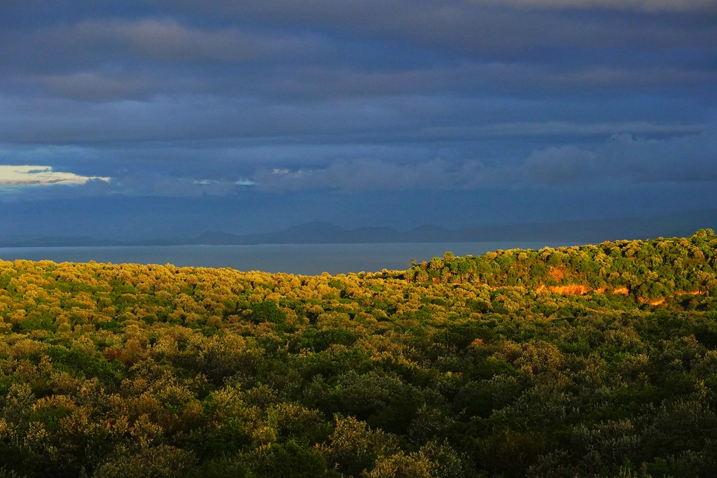 Dawn over Lake Naivasha, Kenya