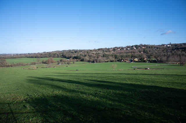 Norbury Park Farm view