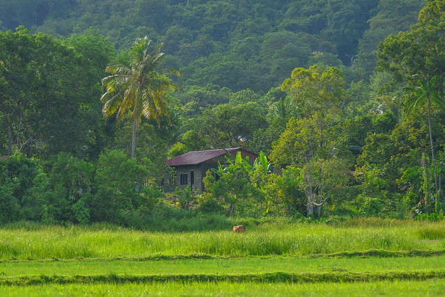 Rural scenery of Langkawi Island, Malaysia