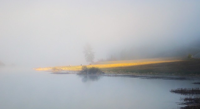 Mamit Lake Mist