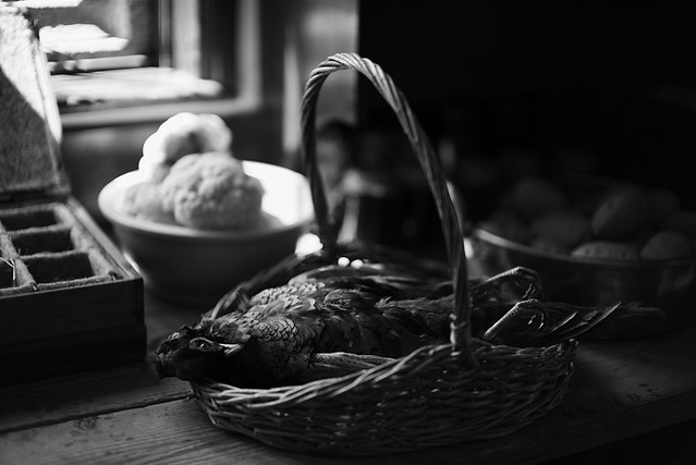 Pheasant for Dinner