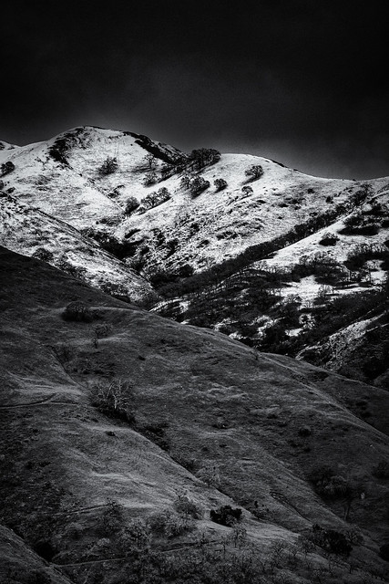 Snow Tops of  the Sunol Wilderness  NO.11 B&W