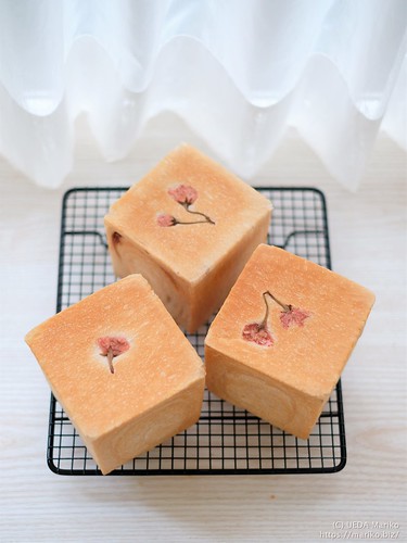 八重桜酵母の角食パン　20230423-DSCT7076 (2)