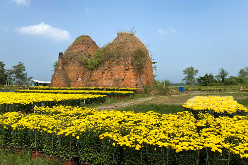 Ancient brickyard with Marigold flower field by phuong.sg@gmail.com, Ancient brickyard with Marigold flower field at spring in Mekong Delta, Vietnam.ancient asia beautif
