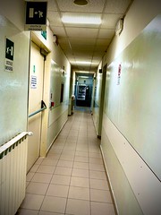The corridor