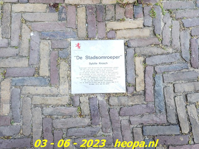 2023-06-03 Vlaardingen  (109)