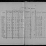 Обзор деятельности земств по кустарной промышленности - Том 3 из 3 (1916) 0261 [SHPL] 300-301