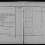 Обзор деятельности земств по кустарной промышленности - Том 3 из 3 (1916) 0219 [SHPL] 246-247