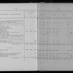 Обзор деятельности земств по кустарной промышленности - Том 3 из 3 (1916) 0153 [SHPL] 160-161