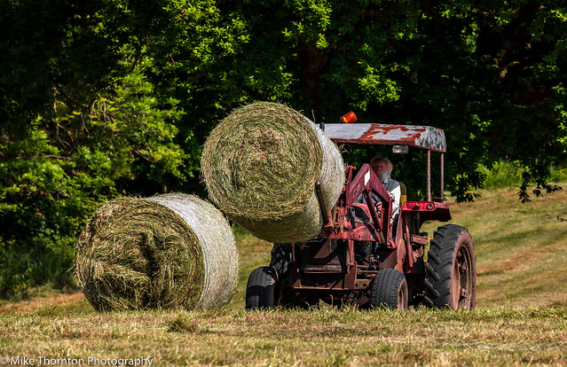 Moving the Bales 2758