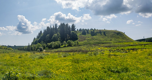 A landscape photo of a tree-topped hill.
