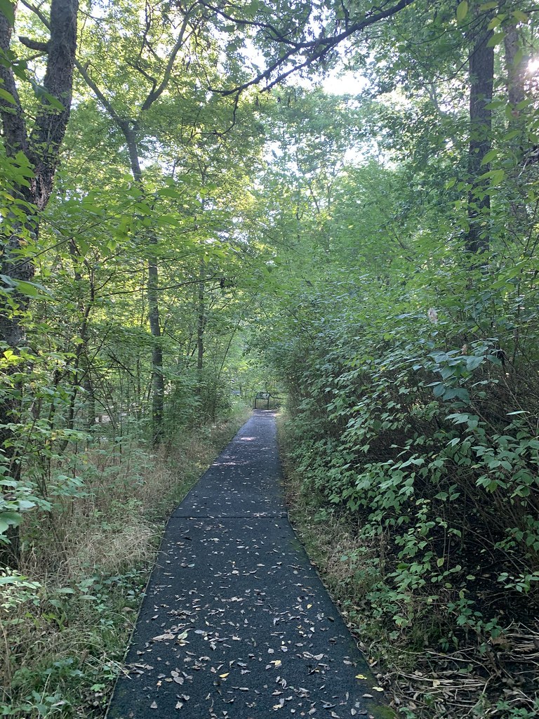 Carver Trail