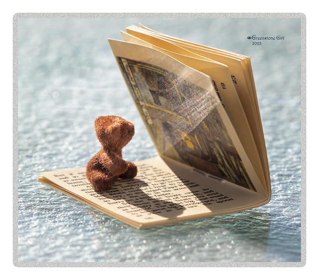 Little Ted and Little Books
