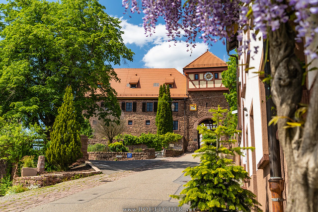 The City Gate in Dilsberg in Spring - May 2023 II