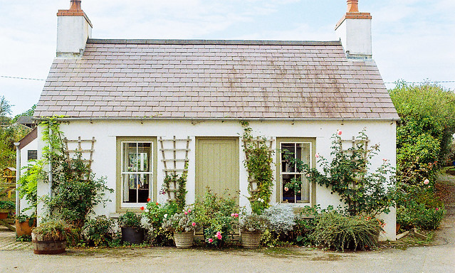 Pembrokeshire Cottage. Kodak Portra 400