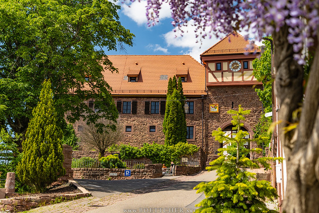 The City Gate in Dilsberg in Spring - May 2023 IV