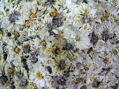 dried Camomile flowers for sale in a shop in Singapore's Chinatown