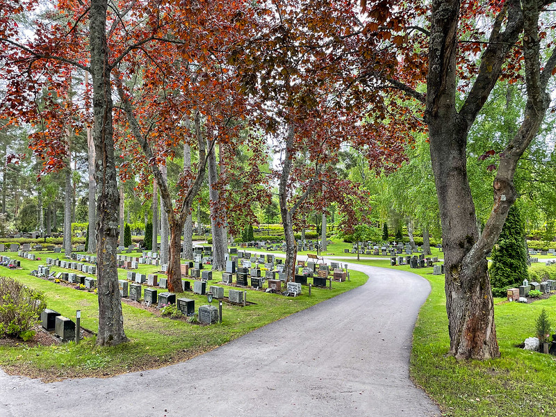 A cemetary view