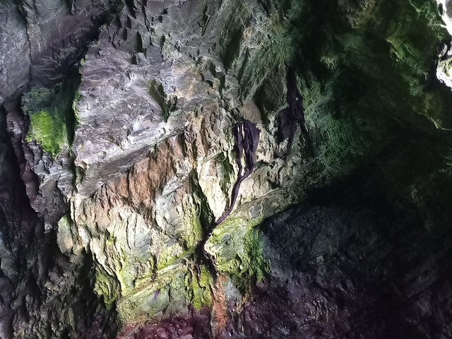 Second cave south of Lybster with stalactites and a nice pebble beach. Colours due to green and pink algae species, melanistic fungi and also possibly bacteria.