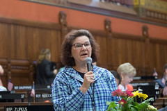 State Rep. Cindy Harrison asks questions during a session day in the House of Representatives.