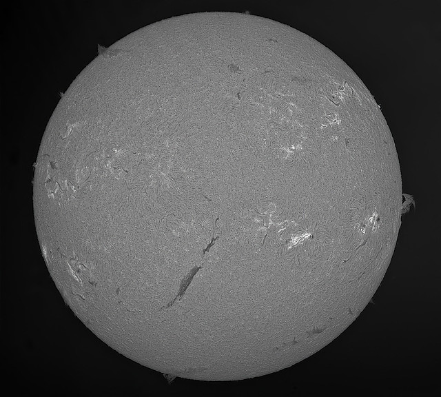 Sun in H-alpha 31 May 2023 10h16m58s ZWO ASI178MM Exposure=1.5ms Gain=100 LUNT LS50FHa-LS60FHa TS B1200 Psp-BW