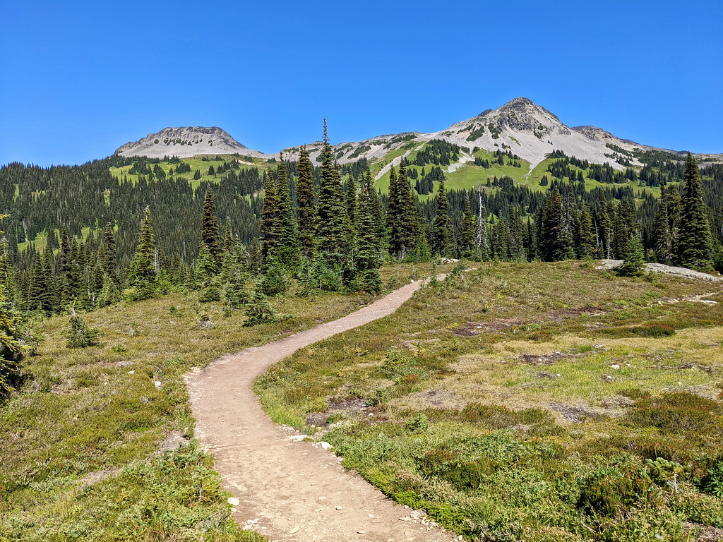 Panorama Ridge Trail, Garibaldi Provincial Park, BC, Canada