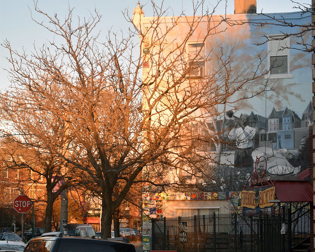 Sunset with tree and mural