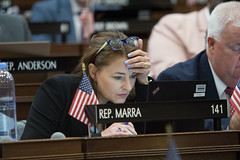 State Rep. Tracy Marra works on legislation during a session day in the House of Representatives.