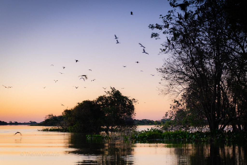 Sunset at Pantanal