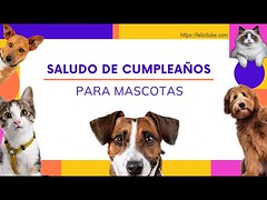 Tarjetas de Frases de Felicitaciu00f3n y Saludos de Cumpleau00f1os para Mascotas Mensajes para Perro y Gato