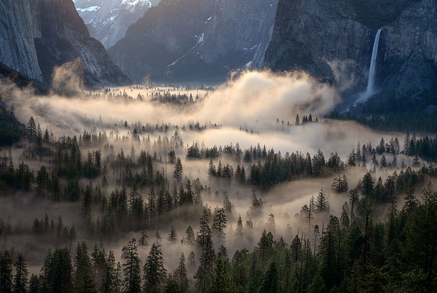 Essence of Yosemite