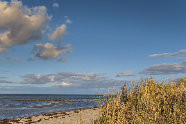 Baltic sea coast scene 30112018 005
