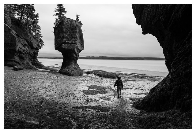 Low Tide at Hopewell Rocks